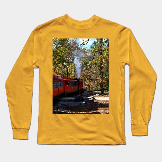 Train Ride Long Sleeve T-Shirt by Zotty4life 